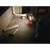 M12 LL Lampa LED